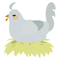 A mist and silver chicken with a double-lace pattern