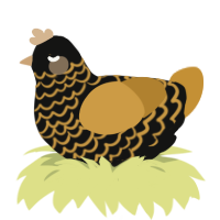 A black and gold chicken with a lace pattern