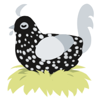 A sable and mist chicken with a speckle pattern