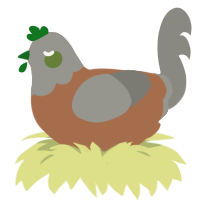 A brown and ash chicken with a head pattern