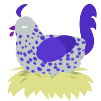 A silver and indigo chicken with a speckle pattern