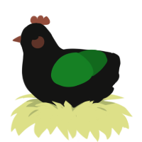A black and leaf chicken
