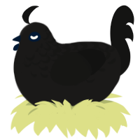 A sable and black chicken with a half-lace pattern
