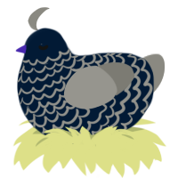 A tumblr and ash chicken with a lace pattern