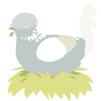 A silver and white chicken with a neck-speckle pattern