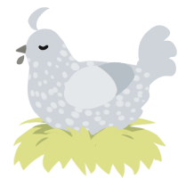 Christmas Child, a mist chicken with a speckle pattern