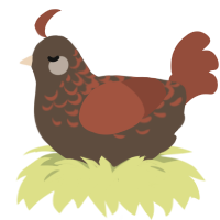 A bark and russet chicken with a half-lace pattern