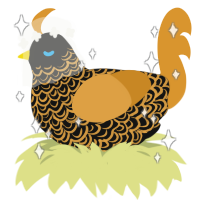 A black and orange chicken with a double-lace pattern
