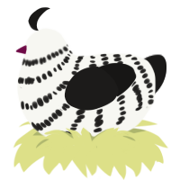 A white and sable chicken with a bar pattern