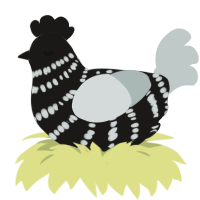 A sable and silver chicken with a bar pattern