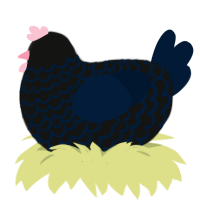 A black and tumblr chicken with a lace pattern