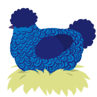 A sapphire and navy chicken with a double-lace pattern
