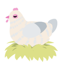 A cream and mist chicken with a bar pattern