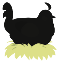 Quiescent, a black chicken