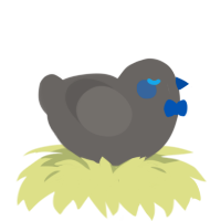 baby blue, a grey chicken