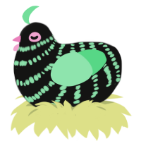 A black and spring chicken with a bar pattern