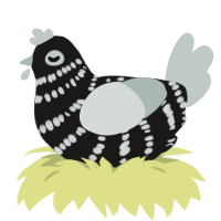 A sable and silver chicken with a bar pattern