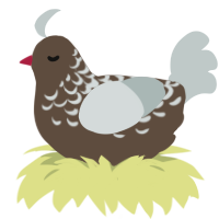 speckled turd, a bark and silver chicken with a half-lace pattern