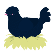 (unnamed), a tumblr chicken with a lace pattern