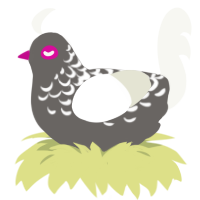 A grey and white chicken with a half-lace pattern