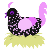 A black and lavender chicken with a speckle pattern