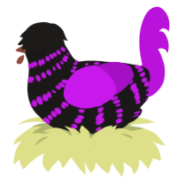 (unnamed), a sable and amethyst chicken with a bar pattern