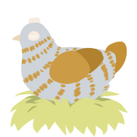 (unnamed), a mist and gold chicken with a bar pattern