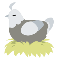 A ash and mist chicken with a head pattern