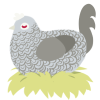 A mist and ash chicken with a double-lace pattern