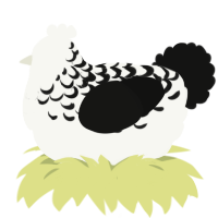 Burnt Marshmallows, a white and black chicken with a half-lace pattern