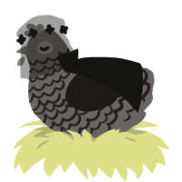 A grey and sable chicken with a lace pattern