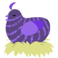 A overcast and blurple chicken with a bar pattern