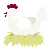 A white chicken with a neck-speckle pattern