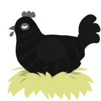 A black and sable chicken with a bar pattern