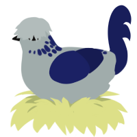 Holiday, a silver and navy chicken with a neck-speckle pattern