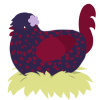 tea, a navy and maroon chicken with a speckle pattern