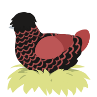 A sable and red chicken with a lace pattern