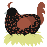 A black and russet chicken with a speckle pattern