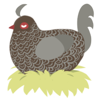 Delhi maybe, a bark and ash chicken with a double-lace pattern