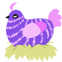 A blurple and lavender chicken with a bar pattern
