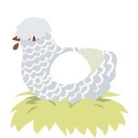 A mist and white chicken with a lace pattern