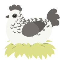 A white and grey chicken with a half-lace pattern