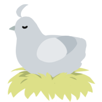 GRAYLIST, a mist chicken