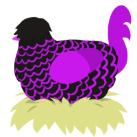 A sable and amethyst chicken with a lace pattern