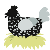 A black and silver chicken with a speckle pattern