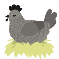 asphalt, a ash and grey chicken with a lace pattern