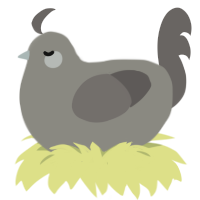 A ash and grey chicken