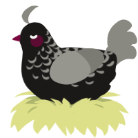 Dark Lily, a sable and ash chicken with a half-lace pattern