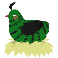 A leaf and sable chicken with a bar pattern
