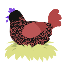 Plateau, a black and red chicken with a double-lace pattern